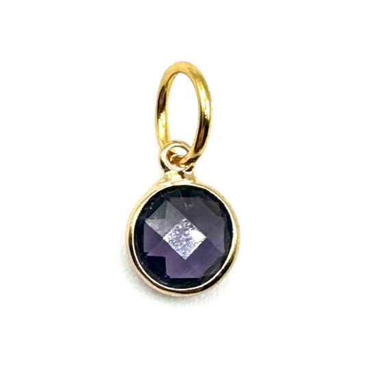 Birthstone Charm, February