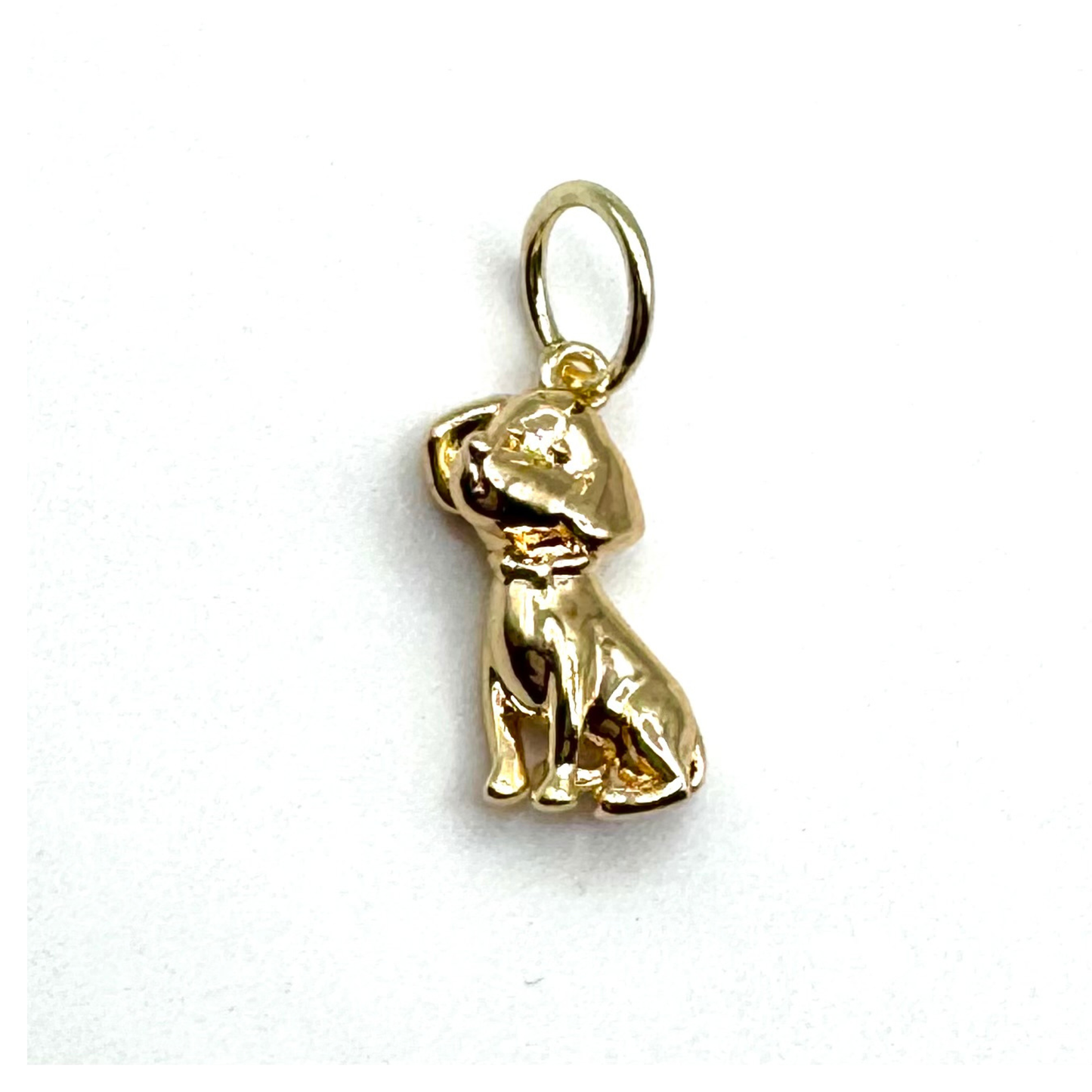 Dog Charm